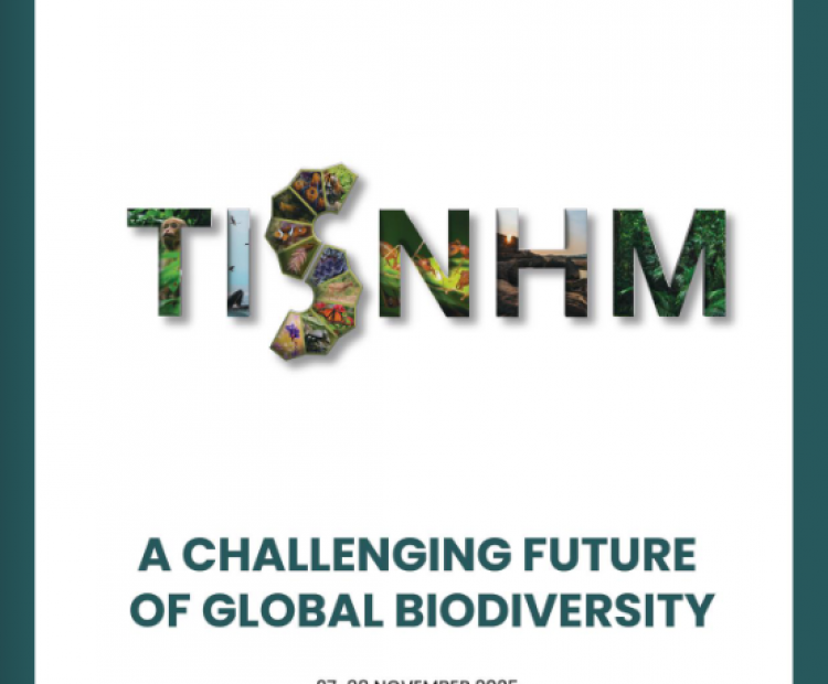 Schedule and abstract